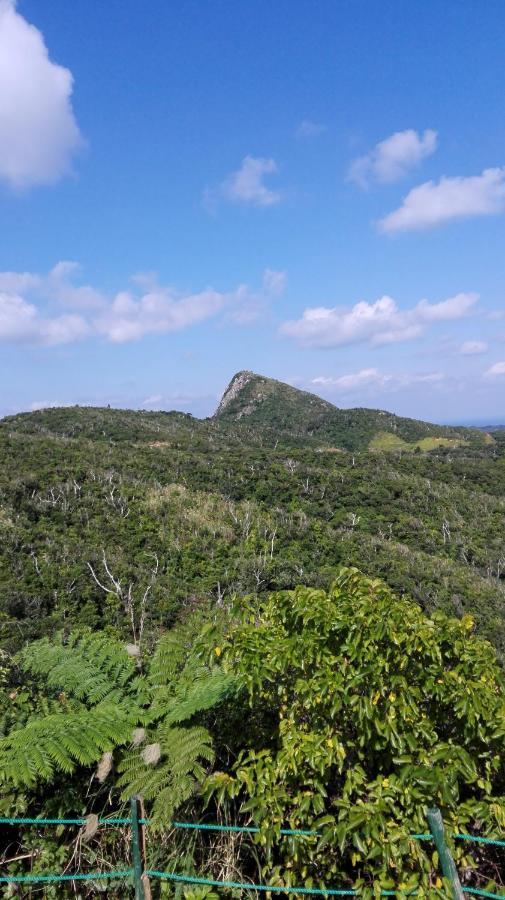 Cottage Blue Kabira Ishigaki  Phòng bức ảnh